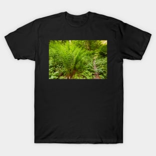 Ferns on the mountain forest T-Shirt